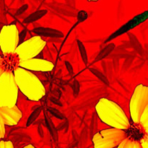 黑客软件攻击器手机版