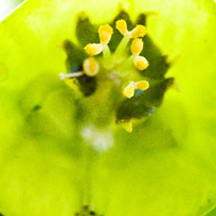 可视化平台的免费ddos在线攻击测试网站